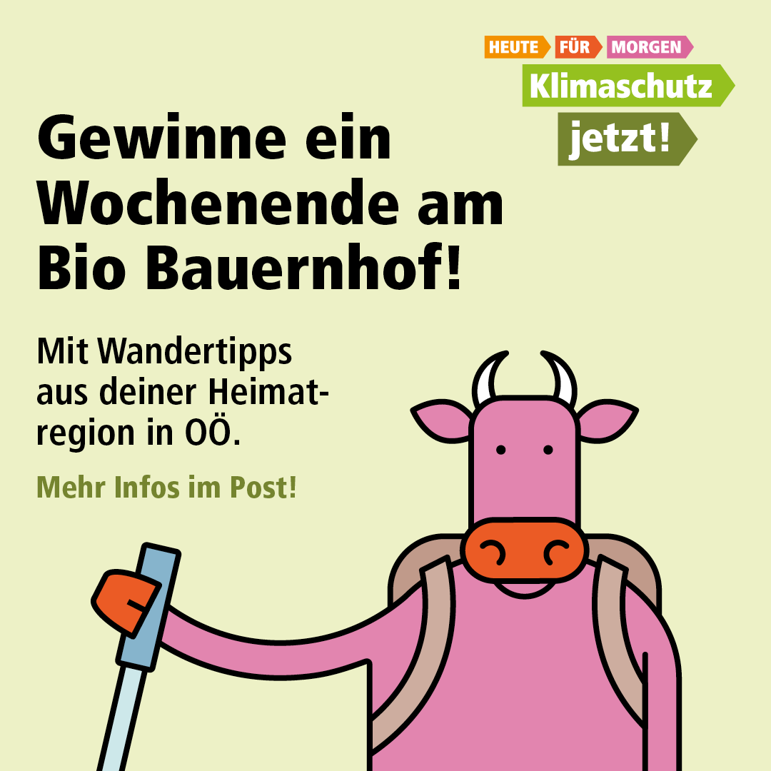 Sujet Gewinnspiel 2022